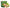 صوص بيستاشيو  يانينو 1.2 كجم × 8 حبة